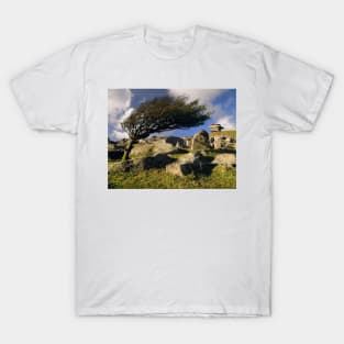 Windswept Tree on Stowes Hill T-Shirt